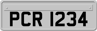 PCR1234
