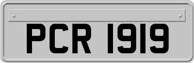 PCR1919
