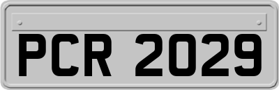 PCR2029