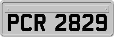 PCR2829