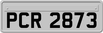 PCR2873