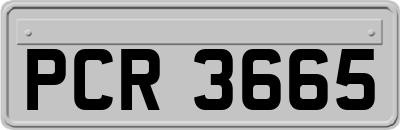 PCR3665