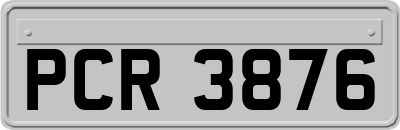 PCR3876