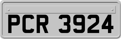 PCR3924