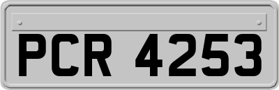 PCR4253