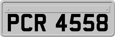 PCR4558