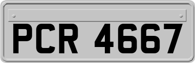 PCR4667