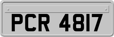 PCR4817