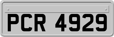 PCR4929