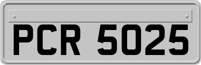 PCR5025