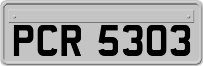 PCR5303