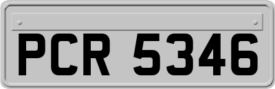 PCR5346