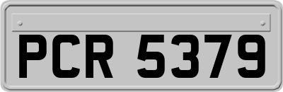 PCR5379
