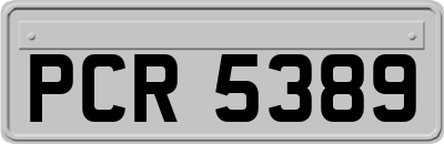 PCR5389