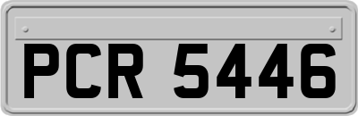 PCR5446
