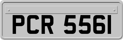 PCR5561