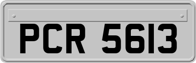 PCR5613
