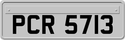 PCR5713