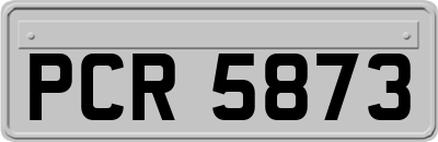 PCR5873