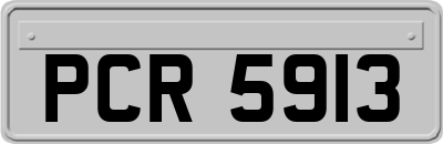 PCR5913