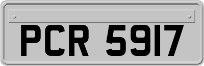 PCR5917
