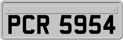 PCR5954