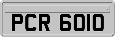 PCR6010