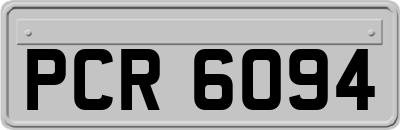 PCR6094