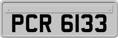 PCR6133