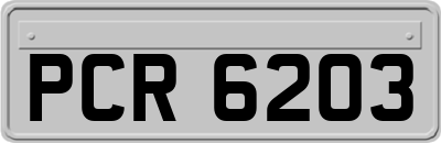 PCR6203