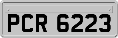 PCR6223
