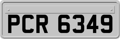 PCR6349