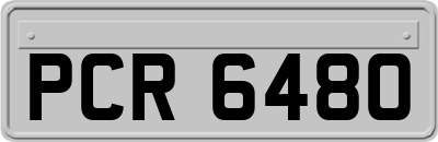 PCR6480