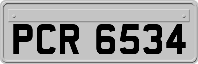 PCR6534