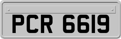 PCR6619