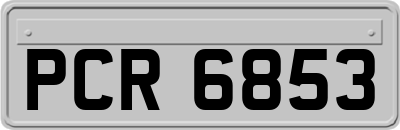 PCR6853