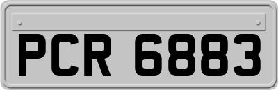 PCR6883