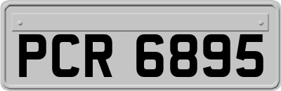 PCR6895