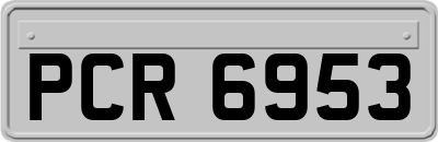 PCR6953