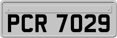 PCR7029