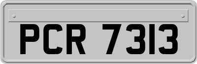 PCR7313
