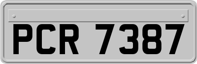 PCR7387