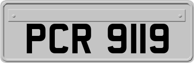 PCR9119