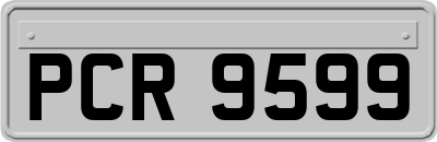 PCR9599