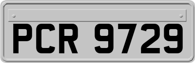 PCR9729