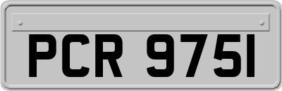 PCR9751
