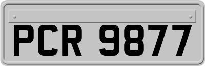 PCR9877