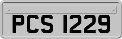 PCS1229