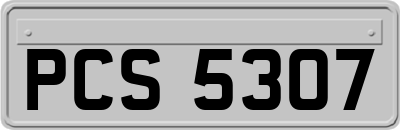 PCS5307