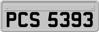PCS5393